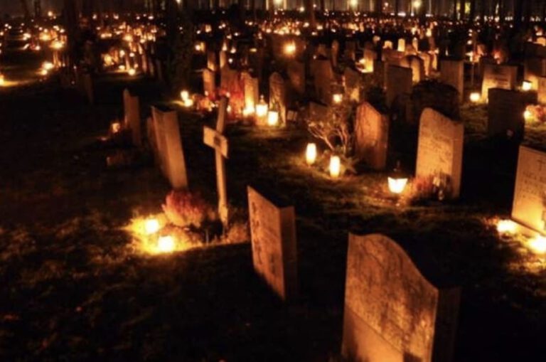 Image 29-10-2025 at 15