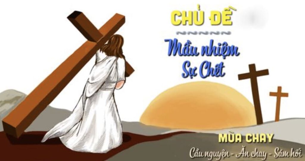 Image 29-10-2025 at 16