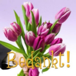 b9928e4c-cd7b-40a4-99a0-ee3d361260b0